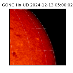 gong - 2024-12-13T05:00:02