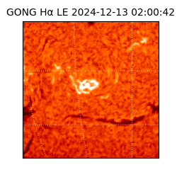 gong - 2024-12-13T02:00:42