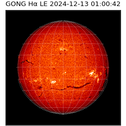 gong - 2024-12-13T01:00:42