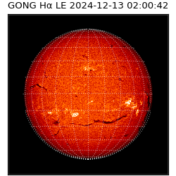 gong - 2024-12-13T02:00:42