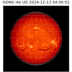 gong - 2024-12-13T04:00:02