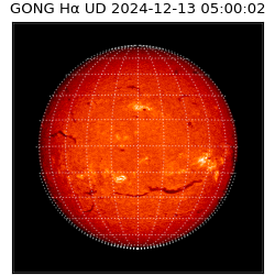 gong - 2024-12-13T05:00:02