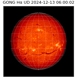 gong - 2024-12-13T06:00:02