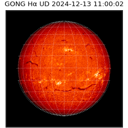 gong - 2024-12-13T11:00:02
