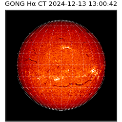 gong - 2024-12-13T13:00:42