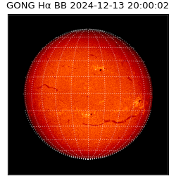 gong - 2024-12-13T20:00:02
