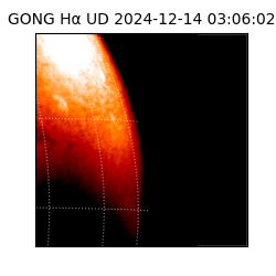 gong - 2024-12-14T03:06:02