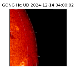 gong - 2024-12-14T04:00:02