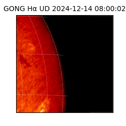 gong - 2024-12-14T08:00:02