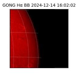 gong - 2024-12-14T16:02:02