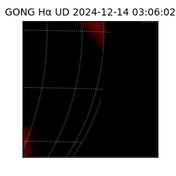 gong - 2024-12-14T03:06:02