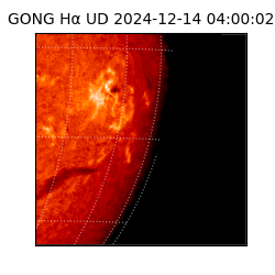 gong - 2024-12-14T04:00:02