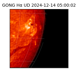 gong - 2024-12-14T05:00:02