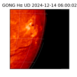 gong - 2024-12-14T06:00:02