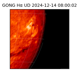gong - 2024-12-14T08:00:02