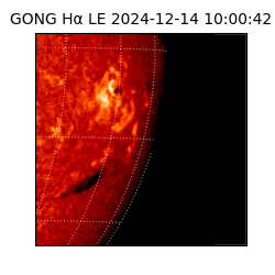 gong - 2024-12-14T10:00:42