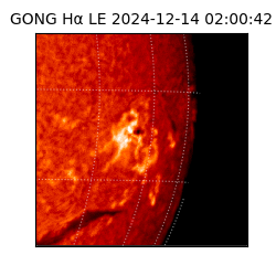gong - 2024-12-14T02:00:42