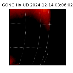 gong - 2024-12-14T03:06:02