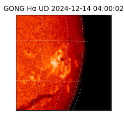 gong - 2024-12-14T04:00:02