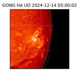 gong - 2024-12-14T05:00:02