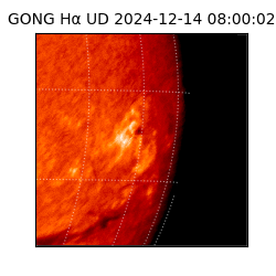 gong - 2024-12-14T08:00:02