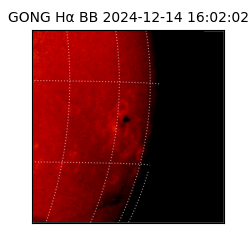 gong - 2024-12-14T16:02:02