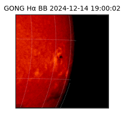 gong - 2024-12-14T19:00:02