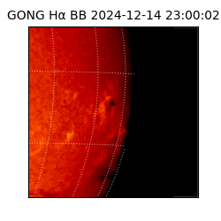 gong - 2024-12-14T23:00:02