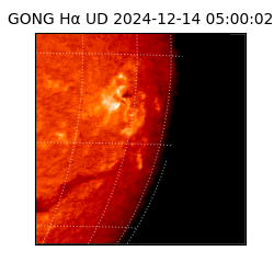 gong - 2024-12-14T05:00:02