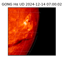 gong - 2024-12-14T07:00:02