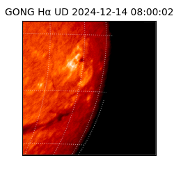 gong - 2024-12-14T08:00:02