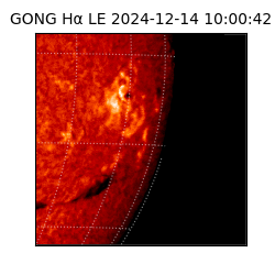 gong - 2024-12-14T10:00:42