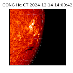 gong - 2024-12-14T14:00:42