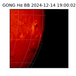 gong - 2024-12-14T19:00:02