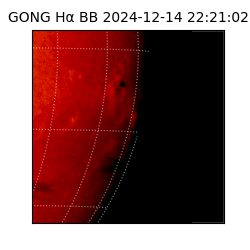 gong - 2024-12-14T22:21:02