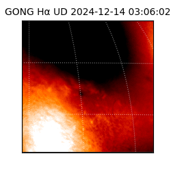 gong - 2024-12-14T03:06:02