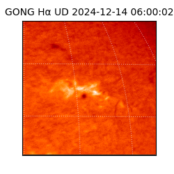 gong - 2024-12-14T06:00:02