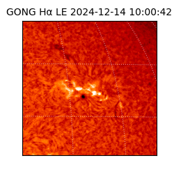 gong - 2024-12-14T10:00:42