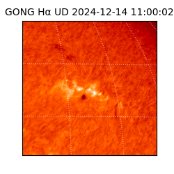 gong - 2024-12-14T11:00:02