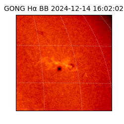 gong - 2024-12-14T16:02:02