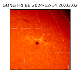 gong - 2024-12-14T20:03:02