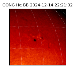 gong - 2024-12-14T22:21:02