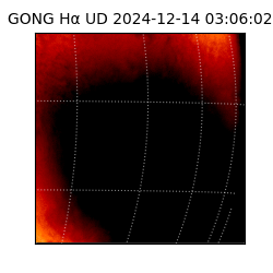 gong - 2024-12-14T03:06:02