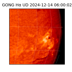 gong - 2024-12-14T06:00:02