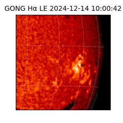 gong - 2024-12-14T10:00:42
