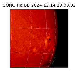 gong - 2024-12-14T19:00:02