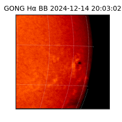 gong - 2024-12-14T20:03:02