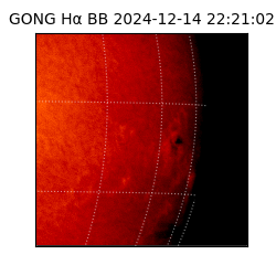 gong - 2024-12-14T22:21:02