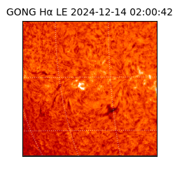 gong - 2024-12-14T02:00:42