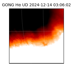 gong - 2024-12-14T03:06:02